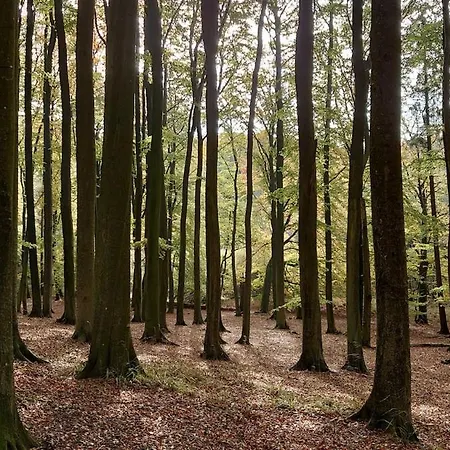In Prora, 1 Lage Ostsee Ruegen *